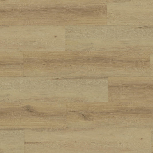 MUSTER Eiche JUNIPER