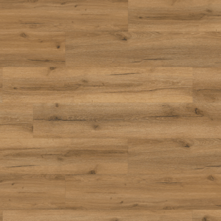 MUSTER Eiche ZEITLOS